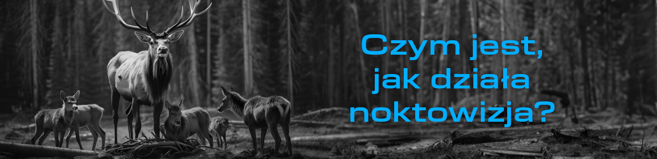 Czym jest i jak działa noktowizja?