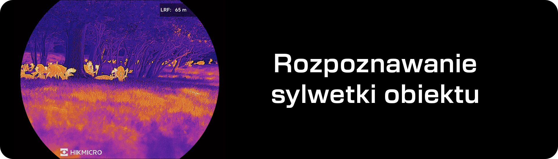 Rozpoznawanie sylwetki w obrazie termowizyjnym