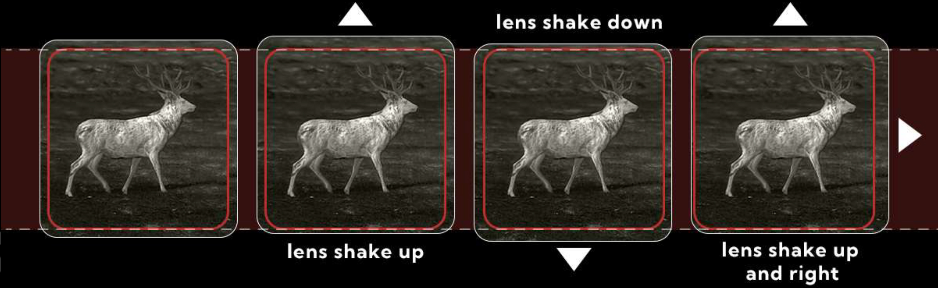 Lornetka termowizyjna z dalmierzem Nocpix QUEST S50R Nocpix-Quest_S50R_EIS_system