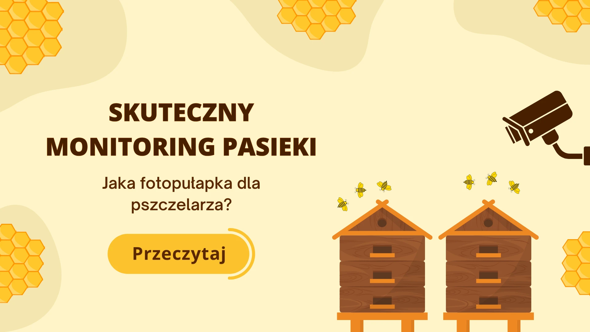 Jaka fotopułapka dla pszczelarza? Skuteczny monitoring pasiek.