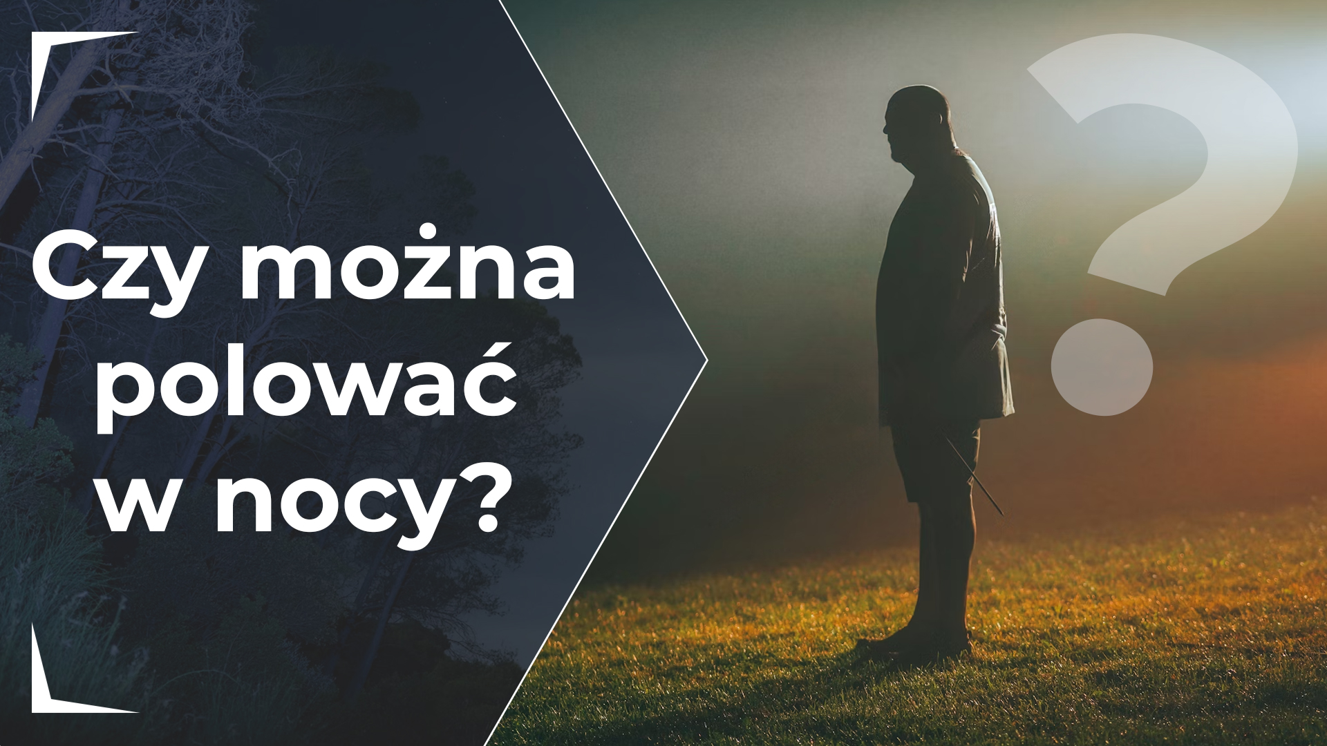 Czy można polować w nocy?