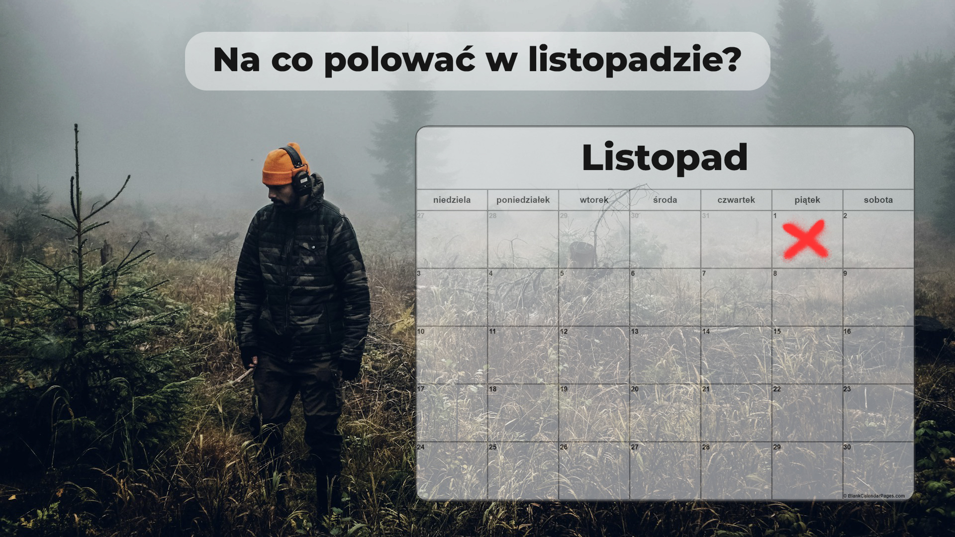 Na co polować w listopadzie?