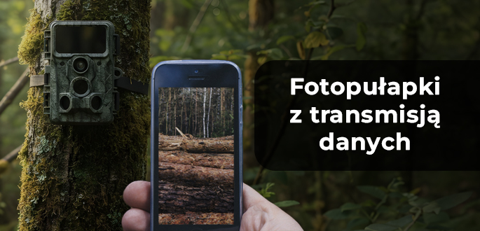 Fotopułapki z transmisją danych – monitoring w czasie rzeczywistym
