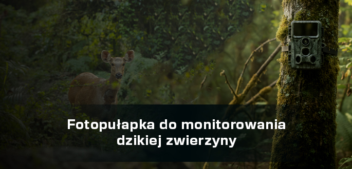 Jak wybrać idealną fotopułapkę do monitorowania dzikiej zwierzyny?