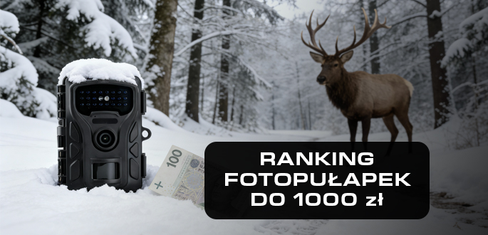Ranking fotopułapek do 1000 zł: Jaki model wybrać, by nie przepłacić?
