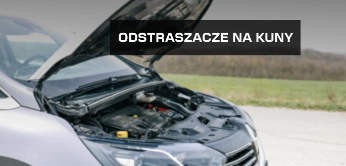 Nowoczesne odstraszacze zwierząt: Jak humanitarnie pozbyć się kuny z poddasza i zabezpieczyć posesję przed dziką zwierzyną?