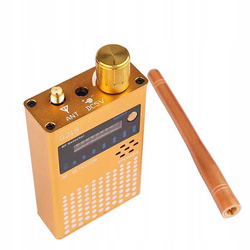 Wykrywacz podsłuchów, kamer WiFi i lokalizatorów GPS WYK-302 Złoty kolor