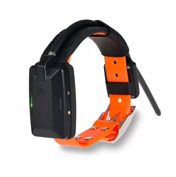 Lokalizator DOGTRACE DOG GPS X30B Short