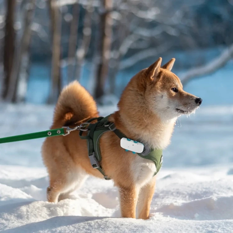 Lokalizator GPS dla MK032 Psa i Kota Do 5 Dni z Magnesem Wodoodporny IP65