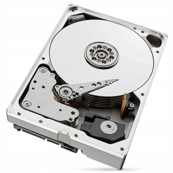 DYSK TWARDY SEAGATE SKYHAWK 10 TB (24/7)