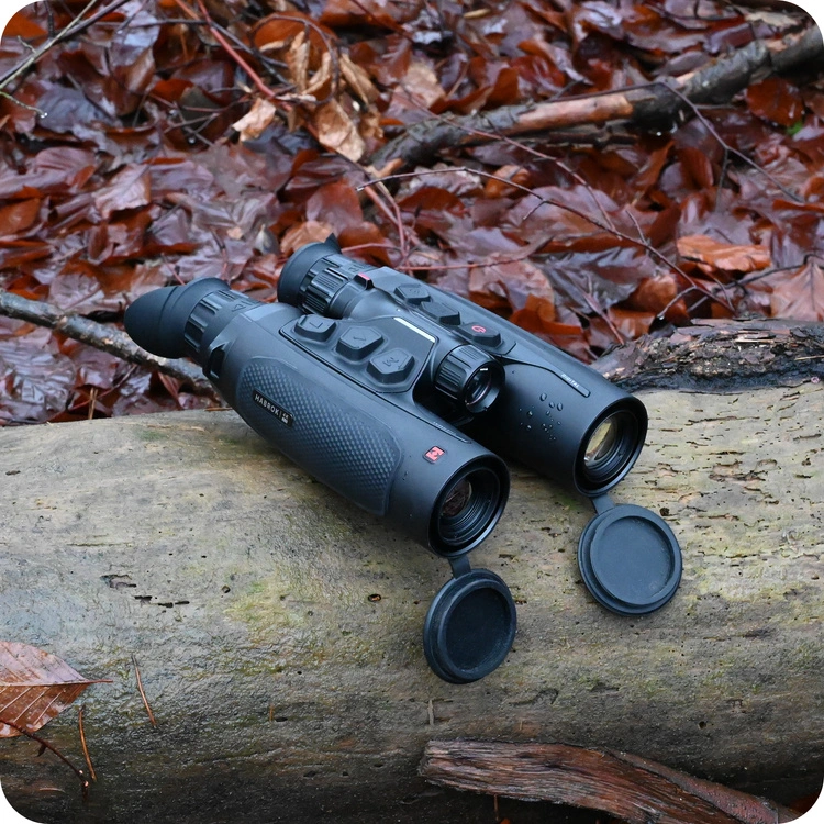 Habrok 4K 2.0 leżący na pniu drzewa