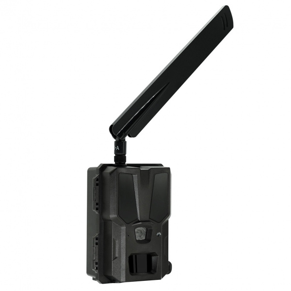 Fotopułapka do obserwacji zwierząt kamera leśna SF200 4G LTE