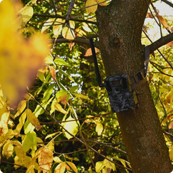 Fotopułapka HIKMICRO M15 GSM 4G LTE – Kamera Leśna z Aplikacją HIKMICRO Sight (Chmura, Full HD, IR 940nm)