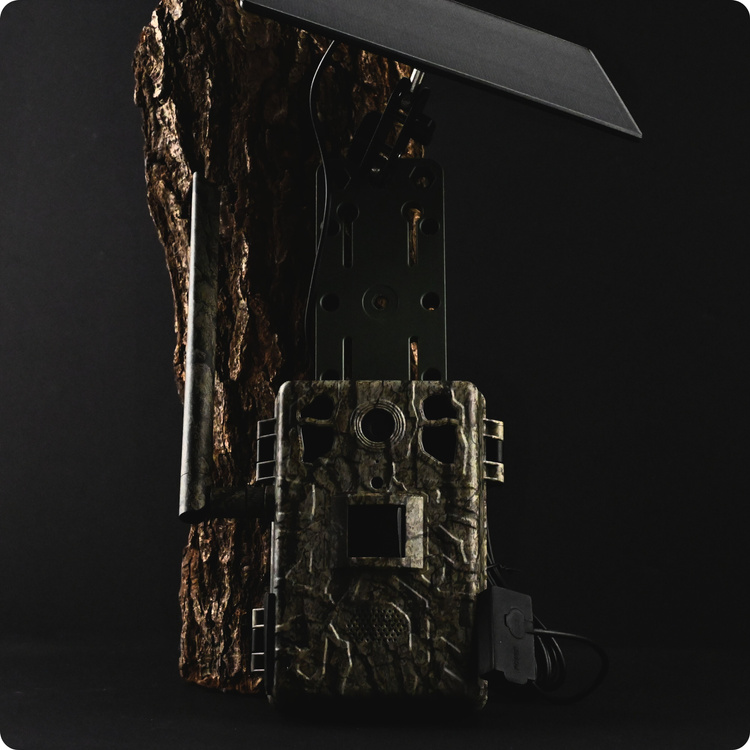 Zestaw Fotopułapka GSM Kamera Leśna TOPHUNT H6 Tree grain Panel Solarny 6xAkumulator 18650 Karta SD 32 GB Karta SIM Orange