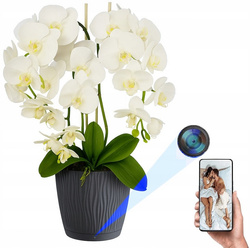 Ukryta mini kamera w doniczce kwiat z podglądem na żywo w telefonie