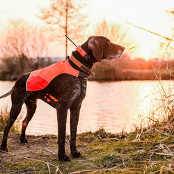 Obroża dla kolejnego psa DOGTRACE DOG GPS X25