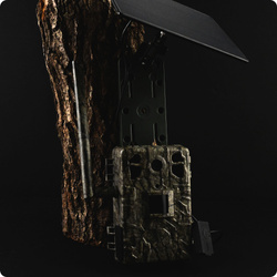 Zestaw Fotopułapka GSM Kamera Leśna TOPHUNT H6 Tree grain Panel Solarny 6xAkumulator 18650 Karta SD 32 GB Karta SIM Orange