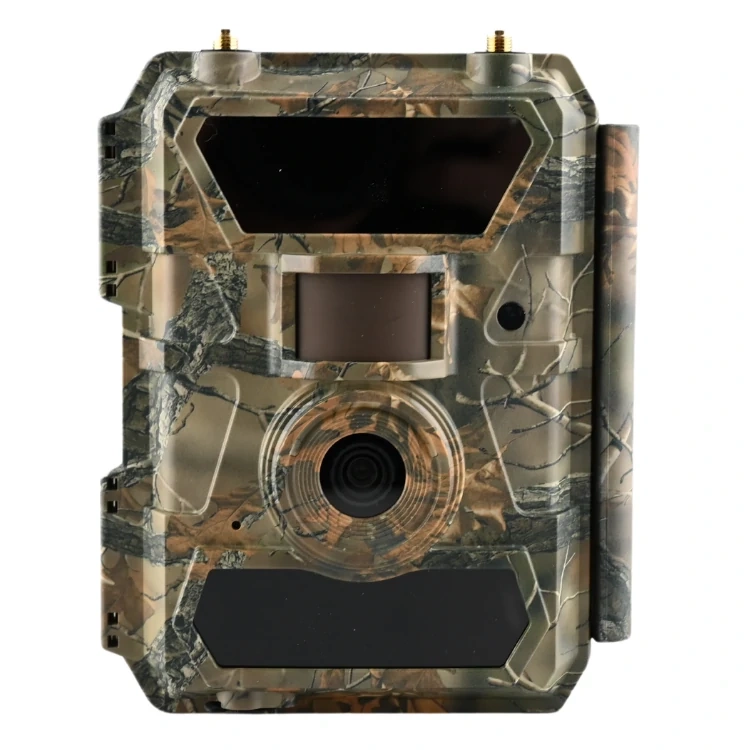 Fotopułapka SF4.0P-CG Pro w kamuflażowej obudowie dyskretnie ukryta wśród gałęzi przy ogrodzeniu posesji