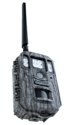 Fotopułapka BG662-M 4G LTE na działkę i do lasu — zdjęcia na telefon, noc i 4K