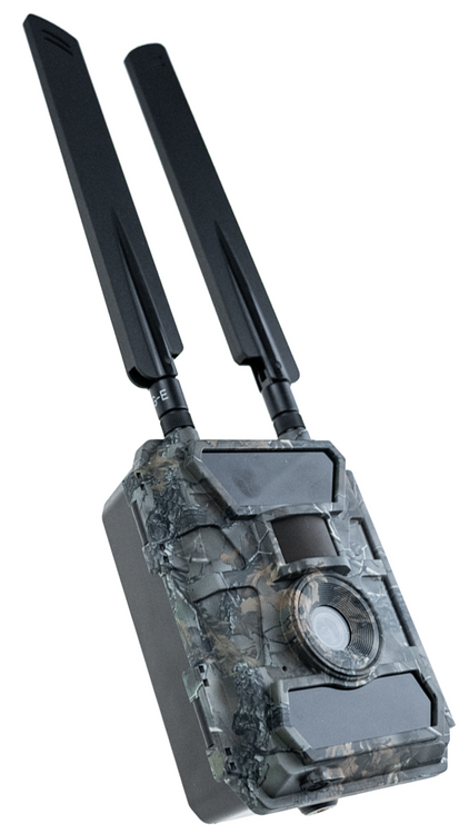 FotopułapkaSF4.0P-CWG Pro AES 4G z szyfrowaniem RODO – monitoring działki, firmy i lasu