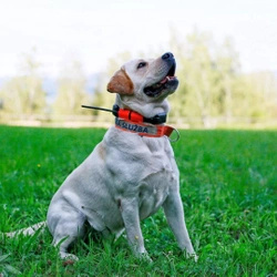 Lokalizator DOGTRACE DOG GPS X25