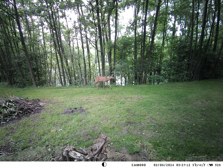 Zestaw Fotopułapka z podglądem na żywo HC-950Pro AKU + Preparat do wabienia dzików