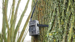 OUTLET  POWYSTAWOWA Fotopułapka kamera leśna HC-300M