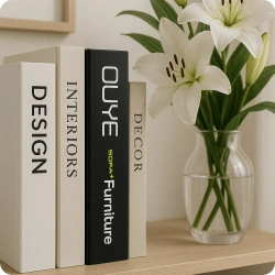 Mini kamera ukryta w książce detekcja ruchu WiFi WF-WJ50