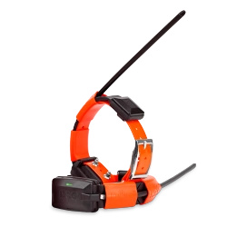 Obroża dla kolejnego psa Dogtrace Dog GPS X30T - pomarańczowa