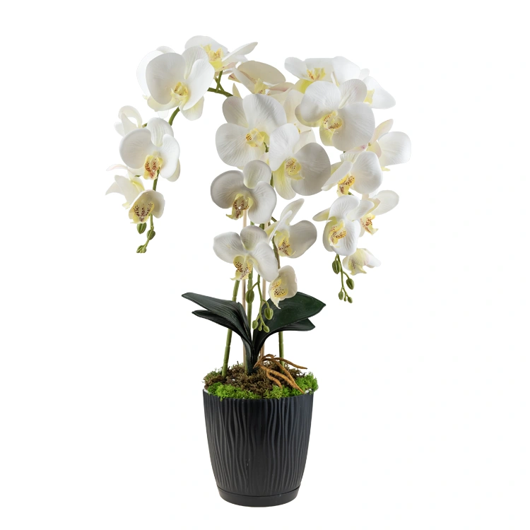 mini kamera ukryta w doniczce kwiatek storczyk