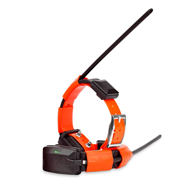Obroża dla kolejnego psa Dogtrace Dog GPS X30T - pomarańczowa