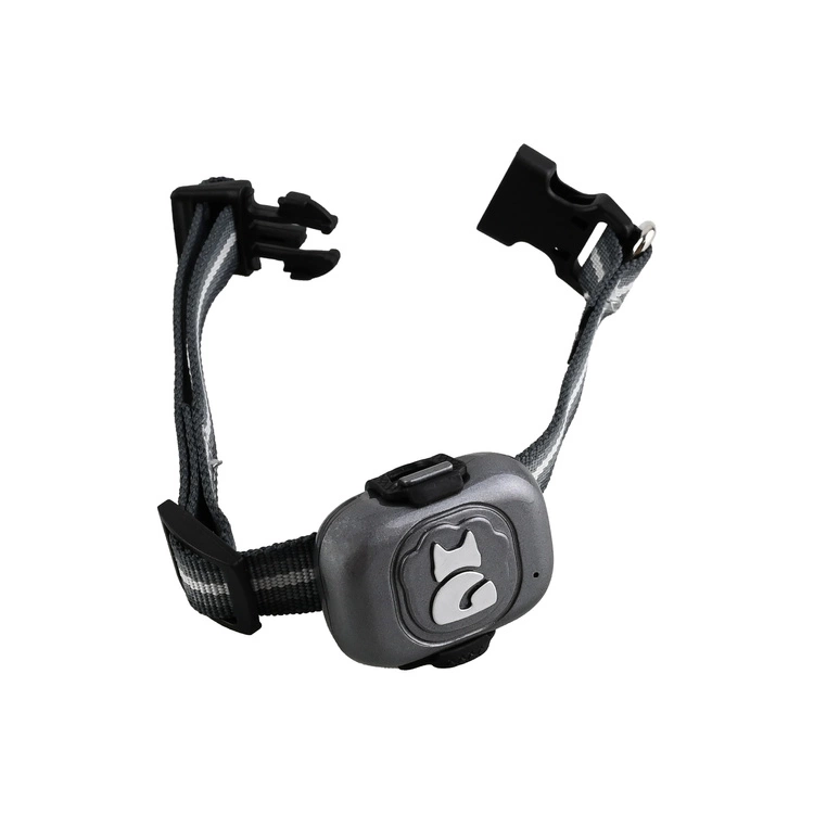 Montaż lokalizatora GPS MK16P na obroży psa z uchwytem