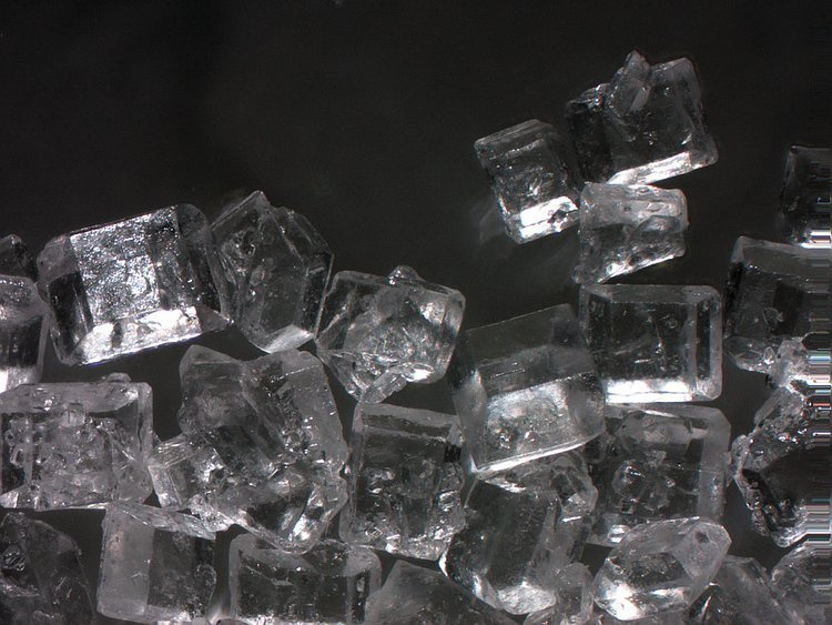 Mikroskop stereoskopowy Delta Optical Discovery 50