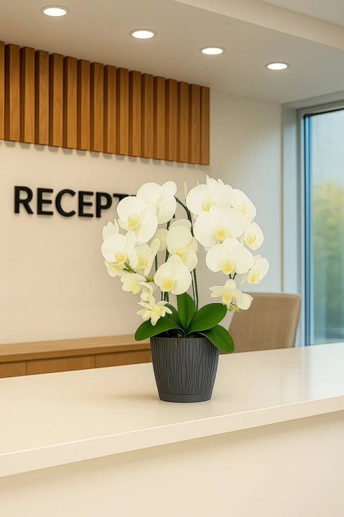 ukryta mini kamera w kwiatku