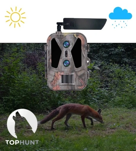 Kamera Leśna Fotopułapka 4K 4G LTE PODGLĄD na ŻYWO Aplikacja HC-950Pro AKU  + preparat do wabienia dzików