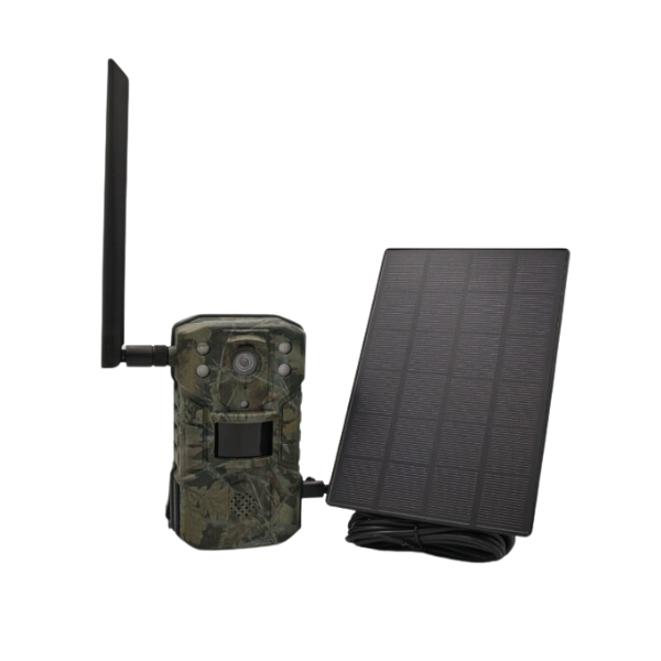 Kamera leśna H2 4G LTE + panel solarny