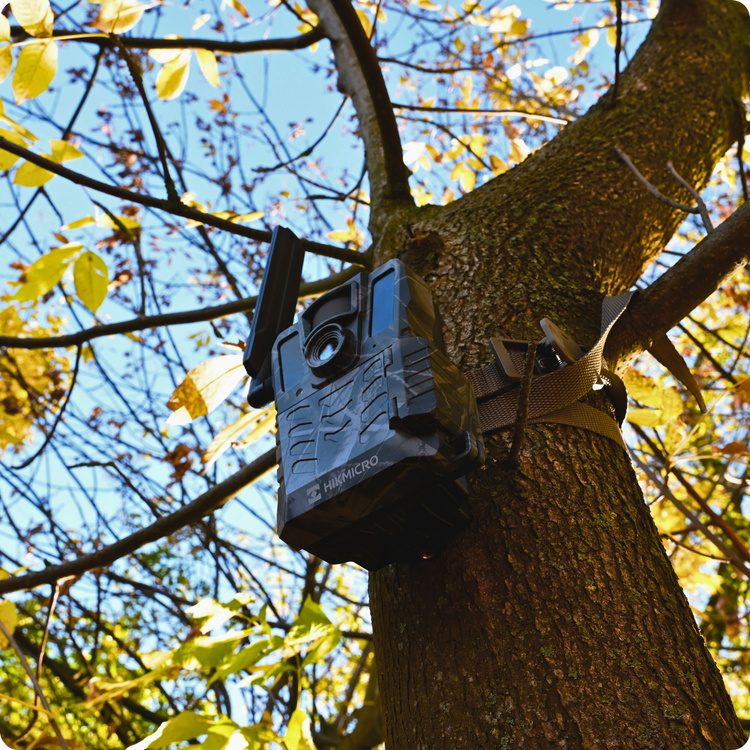 Fotopułapka HIKMICRO M15 GSM 4G LTE – Kamera Leśna z Aplikacją HIKMICRO Sight (Chmura, Full HD, IR 940nm)