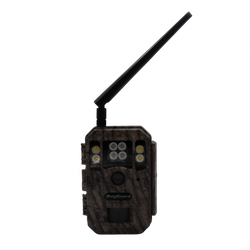 Kamera Leśna Fotopułapka BG662-M 4G LTE 56Mpx 4K 