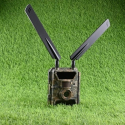 Zestaw Fotopułapka SF4.0P-CG Pro 60° 4G + 12xAA + Karty SD i SIM