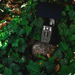 Fotopułapka gsm Kamera Leśna TOPHUNT H6 Dark Green