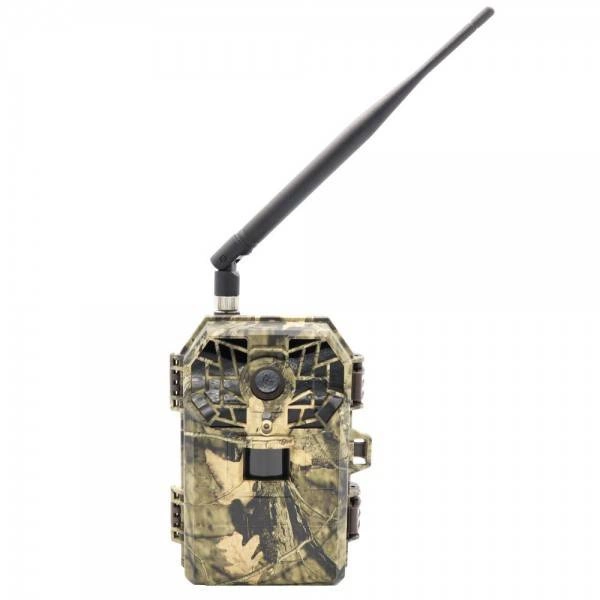 Nocne zdjęcie sarny wykonane przez LS-518 w podczerwieni 940nm — wyraźna sierść i oczy zwierzęcia, brak prześwietleń