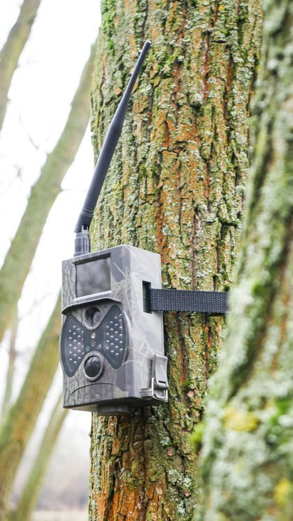 OUTLET  POWYSTAWOWA Fotopułapka kamera leśna HC-300M