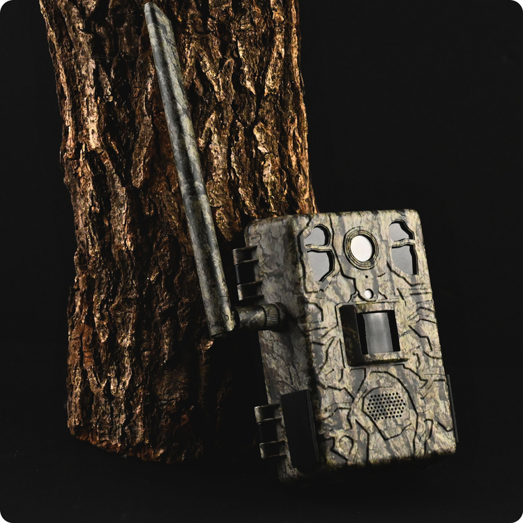 Zestaw Fotopułapka GSM Kamera Leśna TOPHUNT H6 Tree grain Panel Solarny 6xAkumulator 18650 Karta SD 32 GB Karta SIM Orange