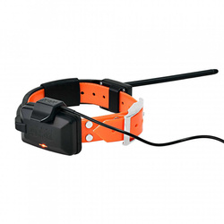 Obroża dla kolejnego psa DOGTRACE DOG GPS X25