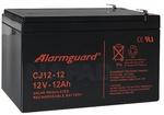Akumulator 12V 12Ah Alarmguard