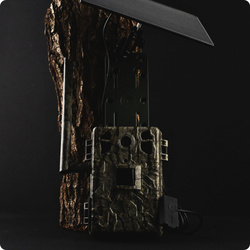 Zestaw Fotopułapka GSM Kamera Leśna TOPHUNT H6 Tree grain Panel Solarny 6xAkumulator 18650 Karta SD 32 GB Karta SIM Orange