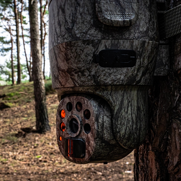 Ekran smartfona z aplikacją mobilną kamery P6 wyświetlającą podgląd na żywo z lasu