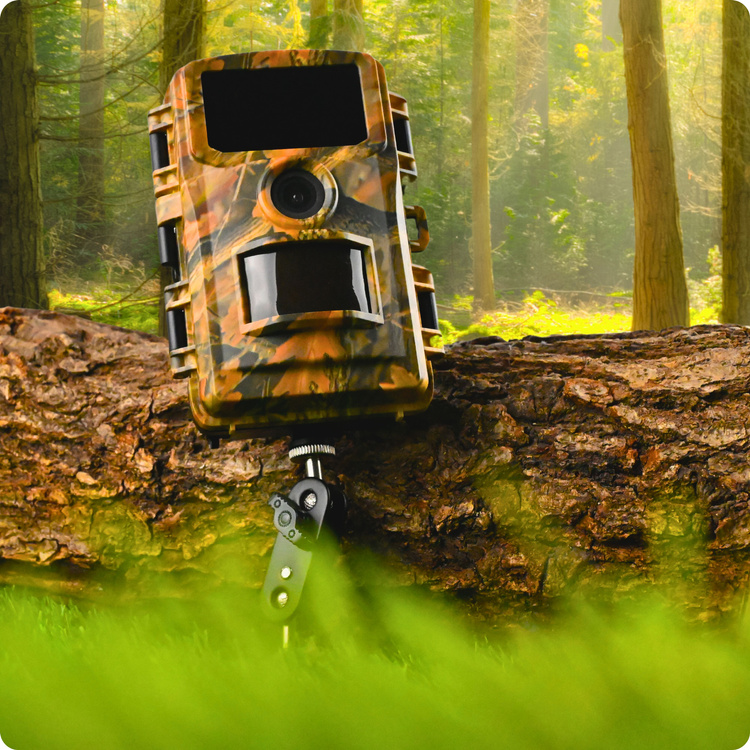 Fotopułapka DOGTRACE D-Guard 940 do monitoringu zwierząt i posesji