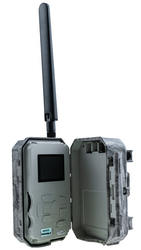 Fotopułapka BG662-M 4G LTE na działkę i do lasu — zdjęcia na telefon, noc i 4K
