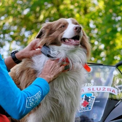 Lokalizator DOGTRACE DOG GPS X30B Short
